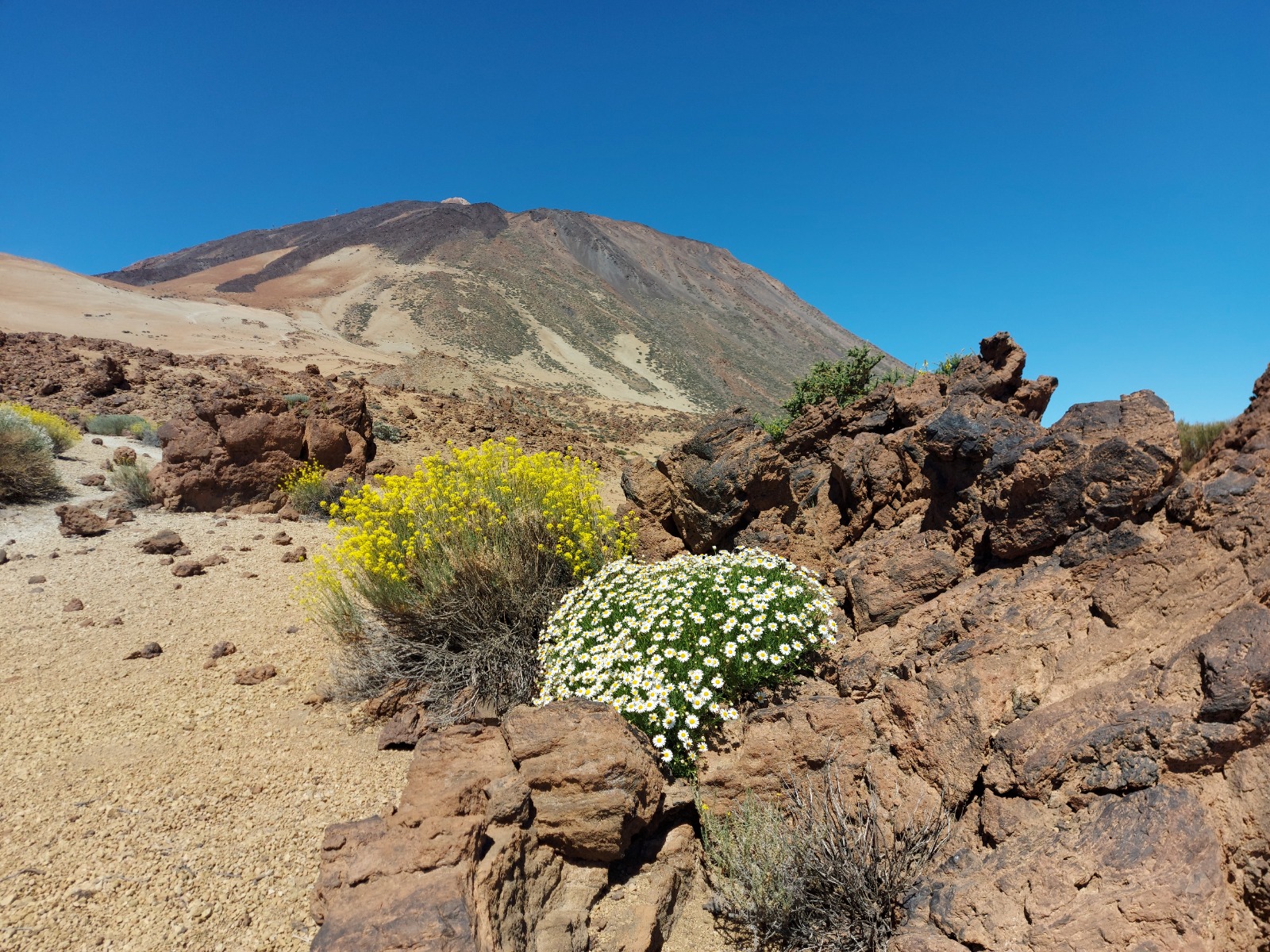 Canarias abre período público para la Ley de Biodiversidad