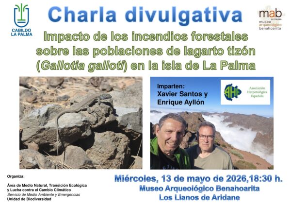 El Cabildo de La Palma presenta el impacto del incendio de 2023 sobre el lagarto tizón